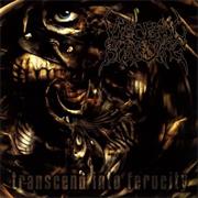 Visceral Bleeding - Transcend Into Ferocity