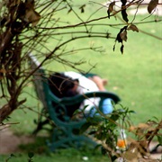 Make Out in the Garden