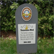 Ben & Jerry's Tennessee Mud