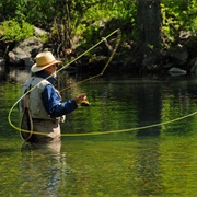 Fly Fishing