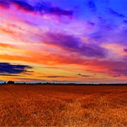 Just Outside Saskatoon, Saskatchewan