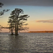 Albemarle Sound