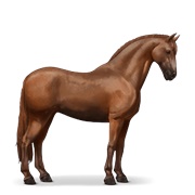 Purebred Spanish Horse - Chestnut