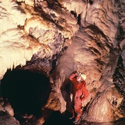 Rat&#39;s Nest Cave, Canada