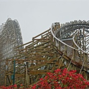 Jungle Trailblazer (Oriental Heritage Wuhu, China)