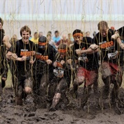 Complete a Tough Mudder Run