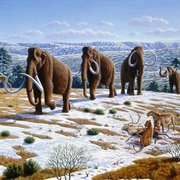 Pleistocene Epoch