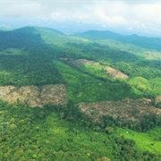 The Moskitia, Honduras