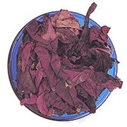 Red Dulse (Palmaria Palmata)