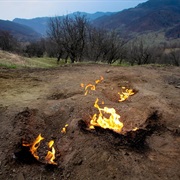 Alive Fires, Buzau, Romania