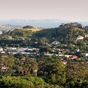 Ōhinerau / Mount Hobson