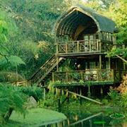 Greater Kruger Park, South Africa