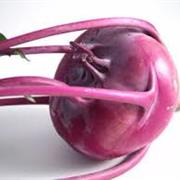 Purple Kohlrabi