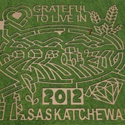 Bulldog Park Corn Maze