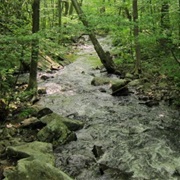 Elk Neck State Forest, Maryland