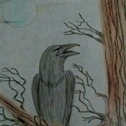 Raven Meagan Scribner