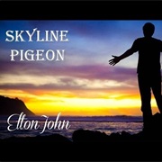 Skyline Pigeon