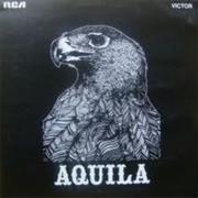 Aquila Aquila