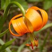Northern Velebit National Park, Croatia