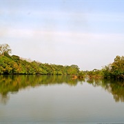 Outamba-Kilimi National Park, Sierra Leone