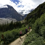 Lake Louise Teahouse Challenge, AB Canada