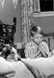 Lassie (1954)