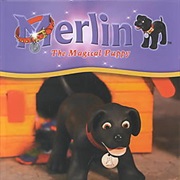 Merlin the Magical Puppy