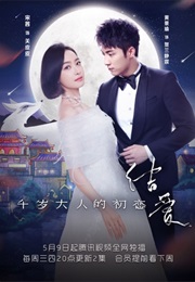 The Love Knot: His Excellency&#39;s First Love (2018)