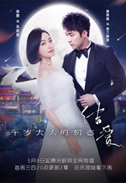 The Love Knot: His Excellency's First Love (2018)
