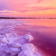 Laguna Salada De Torrevieja, Spain