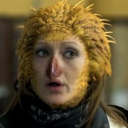 Seltenvogel - Rare Bird Wesen