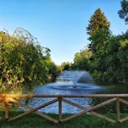 Giardini Margherita, Bologna