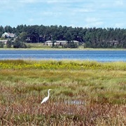 Great Bay Discovery Center, New Hampshire