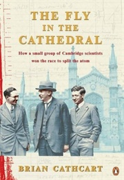 The Fly in the Cathedral (Brian Cathcart)