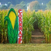 Go to a Corn Maze