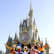 Spend Christmas at Disney World - Florida