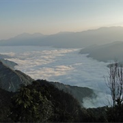 Alishan National Scenic Area