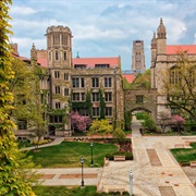 University of Chicago