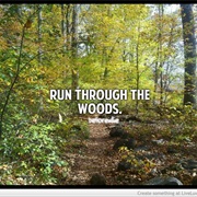 Run Through the Woods