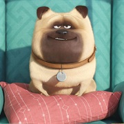 Mel (Secret Life of Pets)