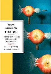 New Sudden Fiction: Short-Short Stories From America and Beyond (Robert Shapard)