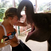 Spend a Day at the Zoo