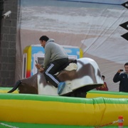 Have You Ever Ridden a Mechanical Bull?
