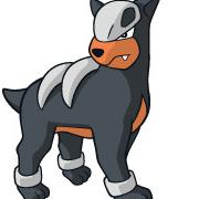 Houndour