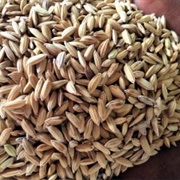 African Rice (Oryza Glaberrima)