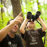 Go on a Stuffed Animal Safari