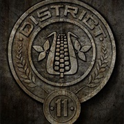District 11