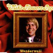 Wonderwall-Paul Anka