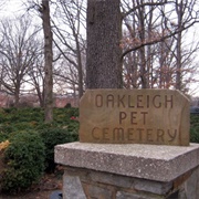 Have a Funeral Service for an Animal or Bug