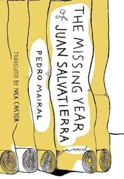 The Missing Year of Juan Salvatierra (Pedro Mairal)